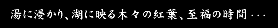 美しい羨望に浸り、極上の癒しがここに