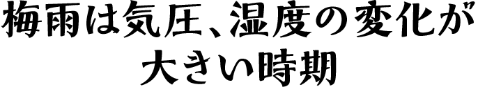 梅雨は気圧、湿度の変化が大きい時期