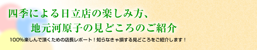 湯楽の里　店長オススメ