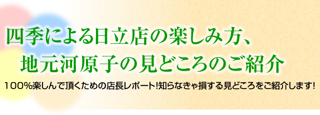 湯楽の里　店長オススメ