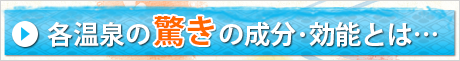 温泉の驚きの成分と効能